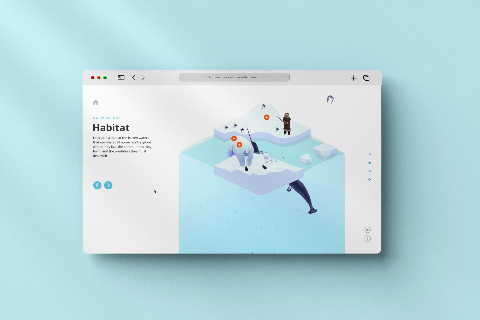 mock up of a website with whales on the screen